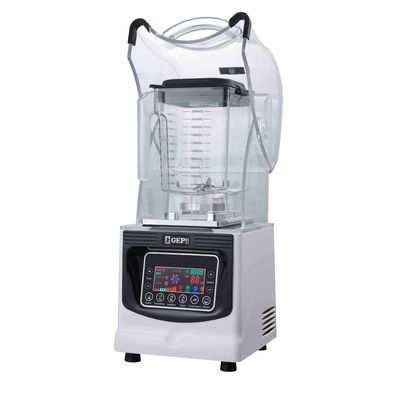 Mixer per frutta in acciaio inossidabile elettrico commerciale da 1800W con muffa privata